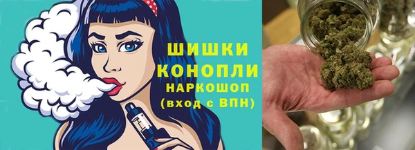 СК Верхний Тагил
