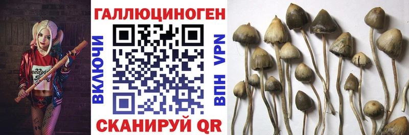 Галлюциногенные грибы прущие грибы  Сергач 